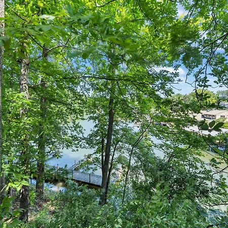 Halesford Harbour Resort - Smith Mountain Lake Moneta Bagian luar foto