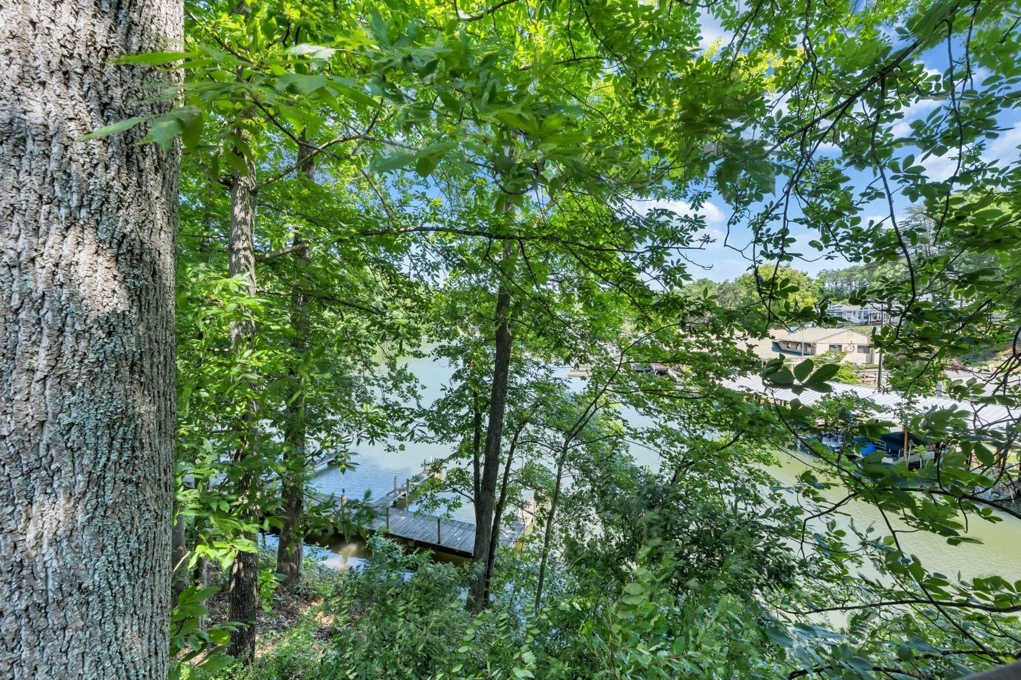 Halesford Harbour Resort - Smith Mountain Lake Moneta Bagian luar foto